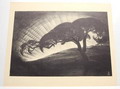  Litho Avond op de Veluwe 1927 ontwerp uitvoering Jan Schonk 