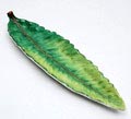  Earthenware serving plate shaped like a leave executed by Carlton Ware / England ca.1935 