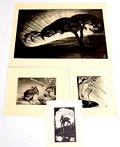 Litho's 3x een houtsnede ontwerp uitvoering Jan Schonk 1925-'30 Litho Avond op de Veluwe 52 x 36 cm Litho Muis 1929 15,5 x 20 cm Litho Reiger 1929 14,5 x 18 cm Houtsnede Hertje ca.1928 10,2 x 17,4 cm 