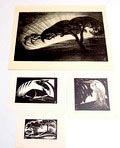 Litho 1x houtsnedes 3x ontwerp en uitvoering Jan Schonk 1925-'30 Litho Avond op de Veluwe 52 x 36 cm Houtsnede Liggende ree 1927 15 x 21,5cm Houtsnede Reiger 1925(175 x 18 cm Houtsnede Bilderberg - 1926 9,5 x 15,5 cm 