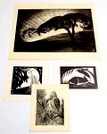 Litho's 2x houtsnedes 2x ontwerp en uitvoering Jan Schonk 1925-'30 Litho Avond op de Veluwe 52 x 36 cm Litho Ijsvogel 1929 15x 20,5 cm Houtsnede Reiger 1925 17,5 x 18 cm Houtsnede Liggende ree 1927 15 x 21,5cm 