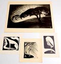 Litho's 2x houtsnedes 2x ontwerp uitvoering Jan Schonk 1925-'30 Litho Avond op de Veluwe 52 x 36 cm Houtsnede Ooievaar 1924 15,5 x 20 cm Litho Reiger 1929 14,5 x 18 cm Houtsnede Hond 1927 16 x 17cm 
