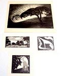 Litho 1x houtsnedes 3x ontwerp uitvoering Jan Schonk 1925-'30 Litho Avond op de Veluwe 52 x 36 cm Houtsnede Wolfheze 1926 13 x 25 cm Houtsnede Reiger 1925 17,5 x 18 cm Houtsnede Hond 1927 16 x 17 cm 