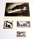 Litho 1x een houtsnedes 3x ontwerp uitvoering Jan Schonk 1925-'30 Litho Avond op de Veluwe 52 x 36 cm Houtsnede Hond 1927 16 x 17cm Houtsnede Bilderberg - 1926 9,5 x 15,5 cm Houtsnede Wolfheze 1926 13 x 25 cm 