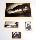Litho 1x woodcuts 3x design and execution Jan Schonk / the Netherlands 1925-'30 Litho Avond op de Veluwe 52 x 36 cm Houtsnede De plas1928 12 x 15 cm Houtsnede Ree 1928 11 x 14,5 cm Houtsnede Hertje ca.1928 10,2 x 17,4 cm 