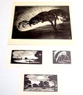 Litho 1x houtsnedes 3x ontwerp uitvoering Jan Schonk 1925-'30 Litho Avond op de Veluwe 52 x 36 cm Houtsnede De plas1928 12 x 15 cm Houtsnede Wolfheze 1926 13 x 25 cm Houtsnede Ree 1928 11 x 14,5 cm 