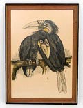  Litho met Vogels ontwerp uitvoering BS vermoedelijk Nederland ca.1930 