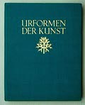  Urformen der Kunst Photographische pflanzenbilder fotograaf Karel Blossfeldt 2e druk uitgave van Verlag Ernst Wasmuth A.G Berlijn / Duitsland 1929 