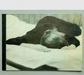  Das Auge der Liebe fotograaf René Groebli 1e druk uitgave van Turnus Verlag Zürich / Zwitserland 1954 tekst door Walter Gort Bischof oplage van 600 