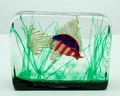  Aquarium object ontwerp Gino Cenedese 1950-'60 uitvoering Cenedese Murano / Italie 