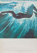  Lithografie Duike r 1977 Serie-Graphic 9/250 ontwerp René Broné 1944- Huizen / Nederland 
