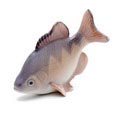  Polychroom gedecoreerde porseleinen Vis uitvoering Royal Copenhagen / Denemarken ca.1970 