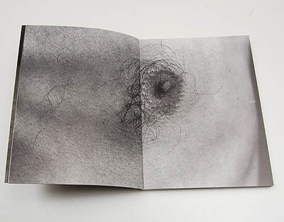 たま 柳原陽一郎 Yanathology 1990-2010 photo_hamaguchi.jpg